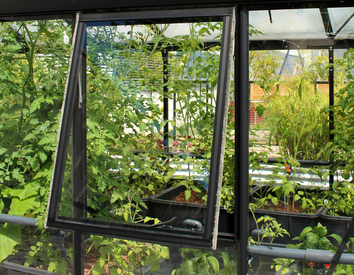 Sidofönster Växthus Helena Svart 600 x 900 mm Vitavia